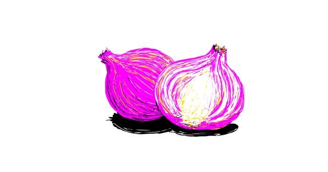 Drawing of Onion by Scott
