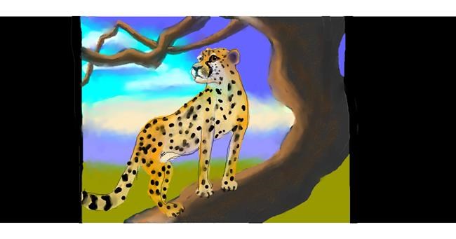Drawing of Cheetah by DebbyLee