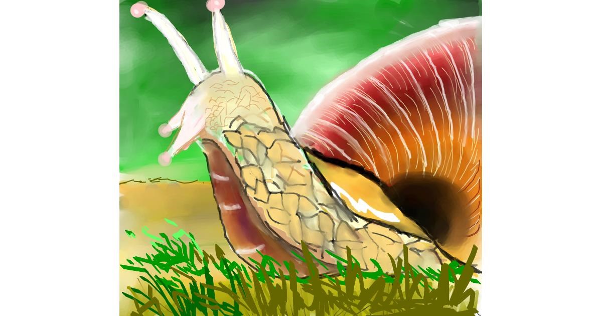 Drawing of Snail by Bro