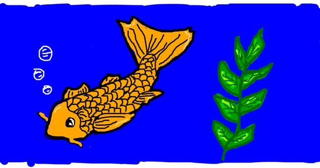 Drawing of Fish by Astha