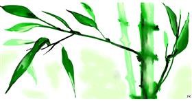 Drawing of Bamboo by Swimmer 