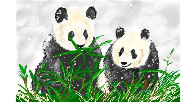 Drawing of Bamboo by GJP