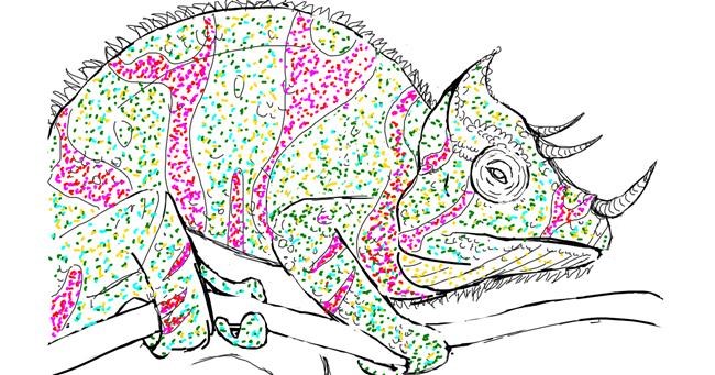 Drawing of Chameleon by Dez