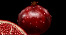 Drawing of Pomegranate by Eclat de Lune