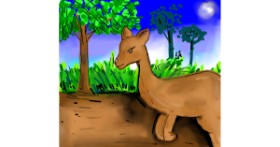 Drawing of Kangaroo by Peek