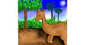 Drawing of Kangaroo by Peek