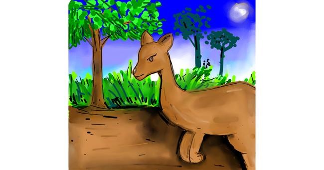 Känguru-Zeichnung von Peek