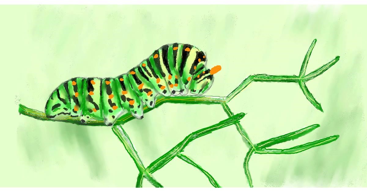 Drawing of Caterpillar by Humo de copal