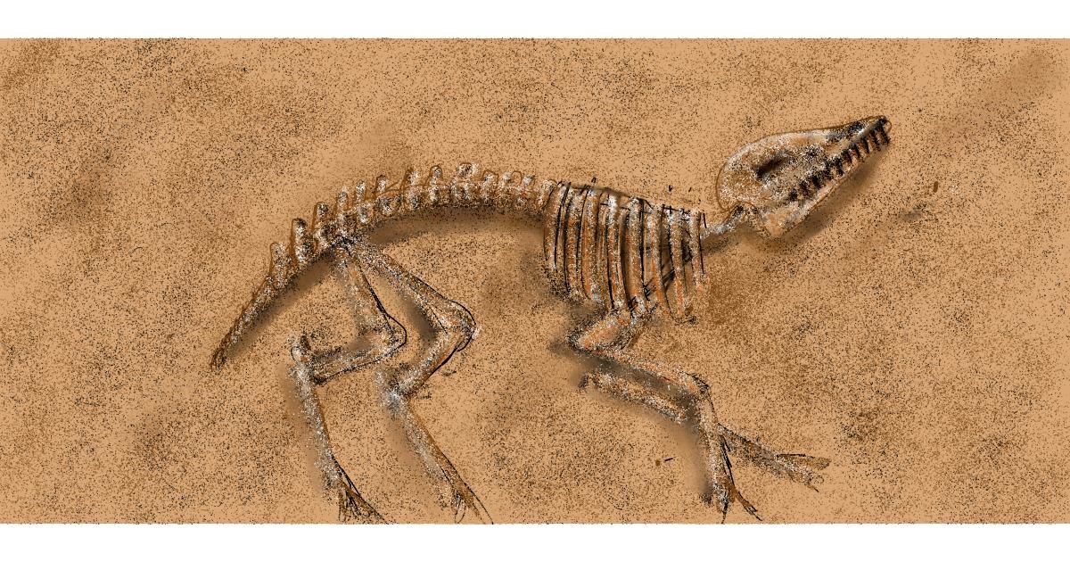 Full Size Drawing