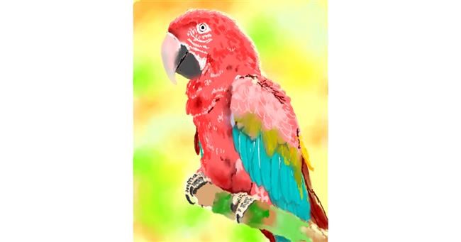 Drawing of Parrot by Bugoy