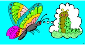 Drawing of Caterpillar by Swimmer