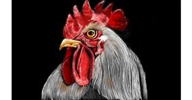 Drawing of Rooster by Tim