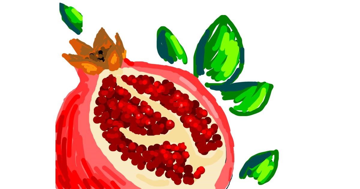 Drawing of Pomegranate by Nan