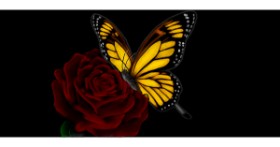 Drawing of Butterfly by Annie