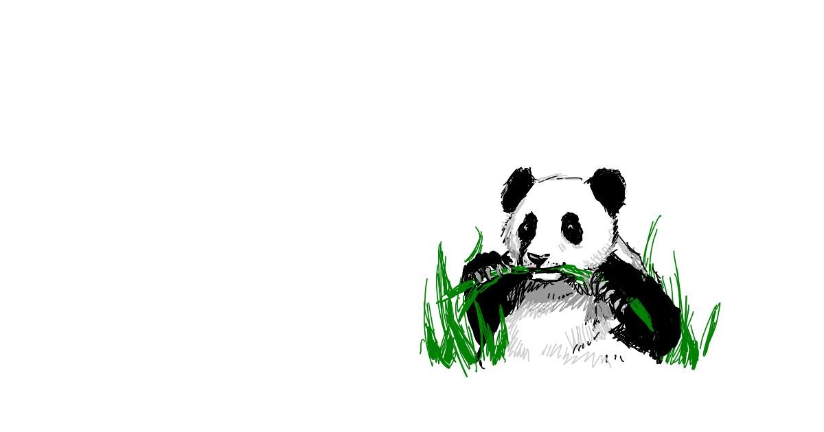 Drawing of Panda by Murdoc