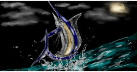 Drawing of Swordfish by Eclat de Lune