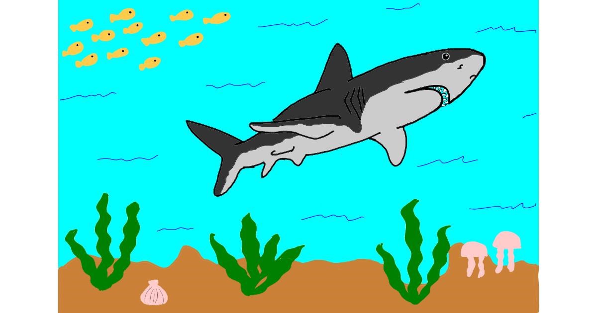 Drawing of Shark by Lili