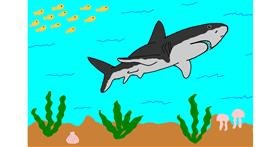 Drawing of Shark by Lili