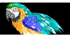 Drawing of Parrot by IAmCute