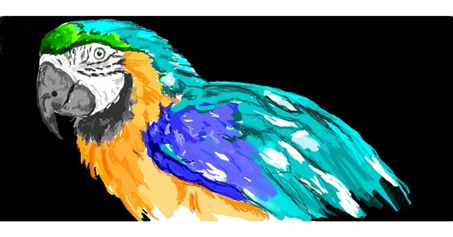 Drawing of Parrot by QT