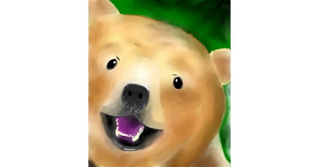 Drawing of Bear by ヴィクトル