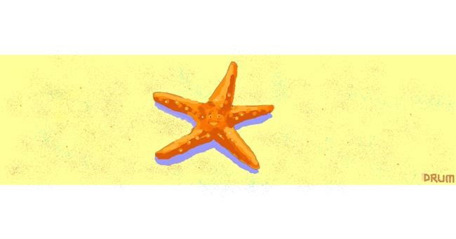 Drawing of Starfish by Drum