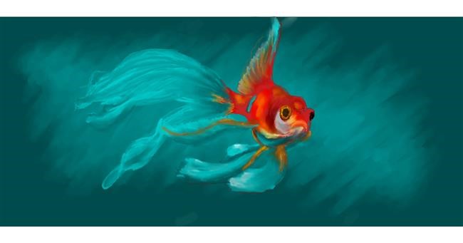 Drawing of Goldfish by Güber Gru