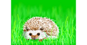 Drawing of Hedgehog by Sam