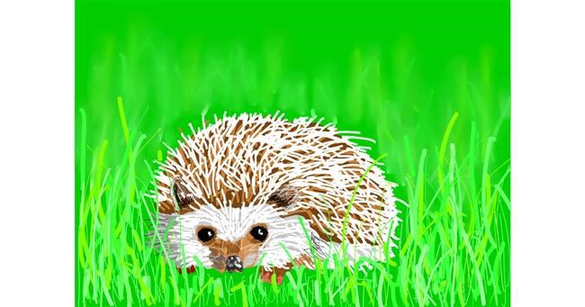 Drawing of Hedgehog by Sam