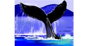 Drawing of Whale by Cec