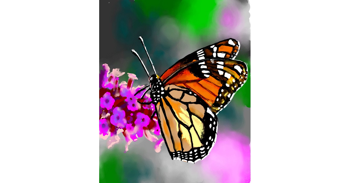 Full Size Drawing
