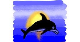 Drawing of Dolphin by Cherri