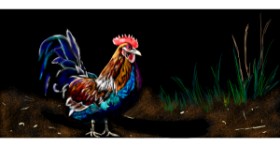 Drawing of Rooster by Çhåching