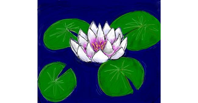 Drawing of Water lily by Labyrinth