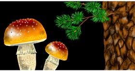 Drawing of Mushroom by Eclat de Lune