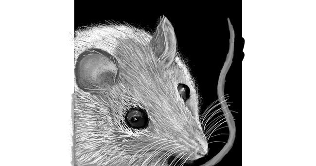 Drawing of Mouse by SIREN