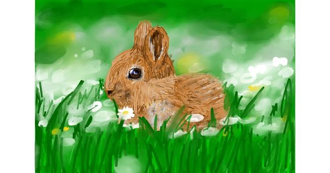 Drawing of Bunny by Mia