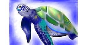 Drawing of Sea turtle by Jan