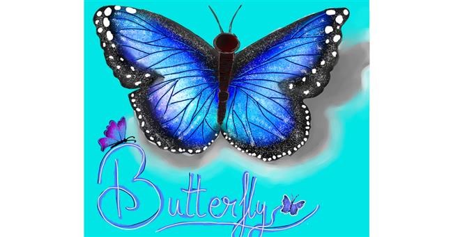 Drawing of Butterfly by Snowy