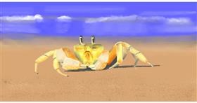 Drawing of Crab by Pinky