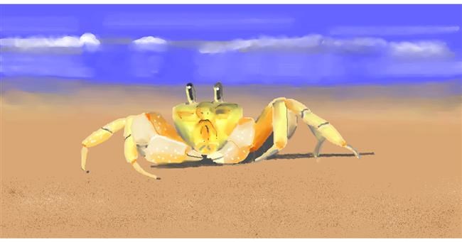 Drawing of Crab by Pinky