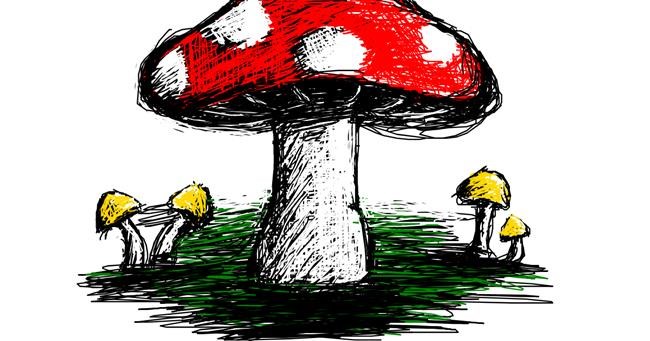 Drawing of Mushroom by Dana