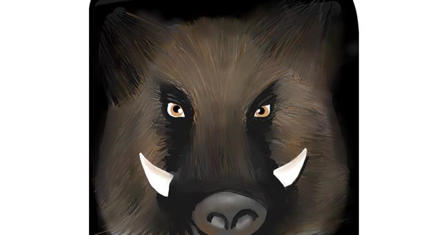 Drawing of Wild boar by RadiouChka