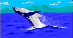 Drawing of Whale by shiNIN