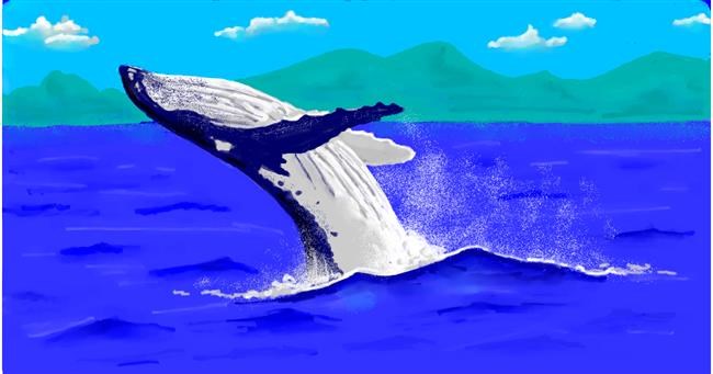 Drawing of Whale by shiNIN