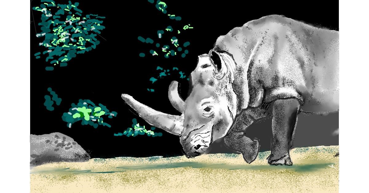 Drawing of Rhino by GJP