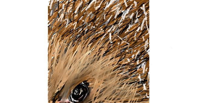 Drawing of Hedgehog by Blue New I.k@