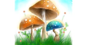 Gljiva - autor: Audrey