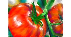 Drawing of Tomato by teidolo