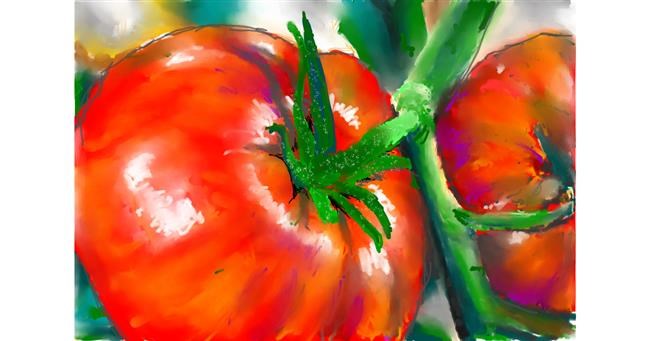 Drawing of Tomato by teidolo